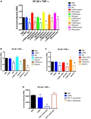 Searching for the Bacterial Effector: The Example of the Multi-Skilled Commensal Bacterium Faecalibacterium prausnitzii